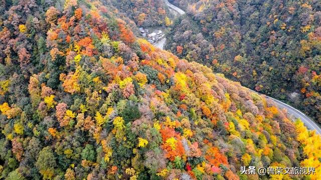 11月旅行：在山河秘境中，邂逅最本真的秋日浪漫