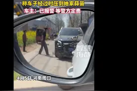 大妈砸奔驰车称其压到自家蒜苗？网友：“最贵蒜苗”图片