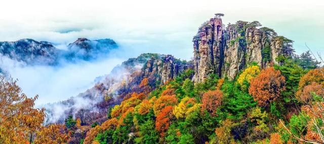 人气拉满！蒙山“国庆晴天险”福利，迎来首批兑现热潮！