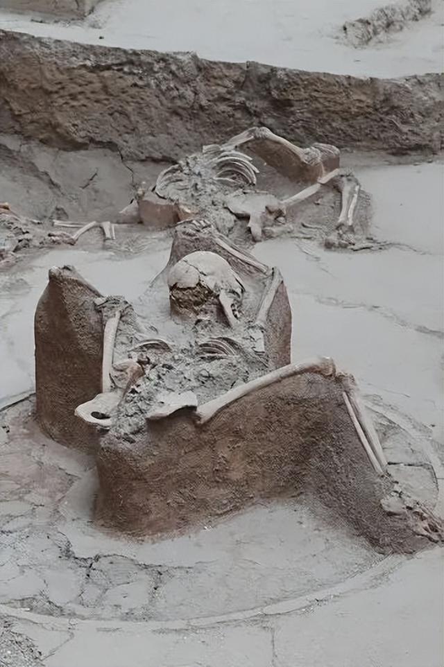 是谁吃了“世界上第一碗面”？青海海东还有多少秘密？