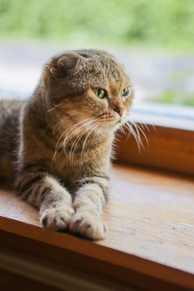 观复猫带你画·中华最有名 | 留园