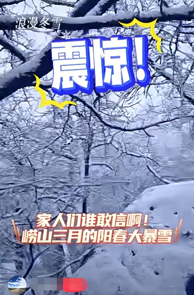 春天又想起来逞能了！今早，大批青岛人憋着想请假：领导，这里突然美得不像话，我能不能去打个卡，晚了怕它化了……