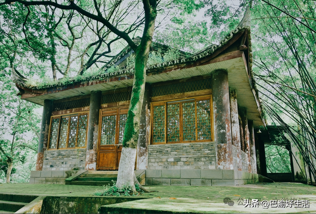 北碚公园竟是"大熊猫"命名地，原来藏着这么多秘密