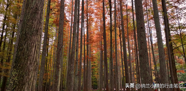 后悔现在才去！这座湖南与贵州交界处的小城，后劲太大了！
