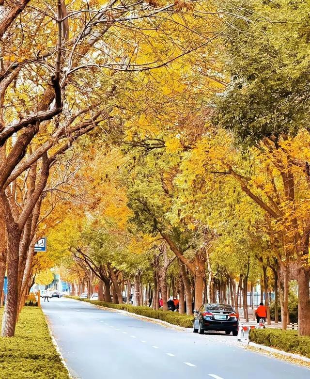 德州旅游资源屈指可数,要想改变现状,需要在这一点上下真功夫