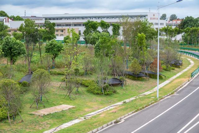 休闲、便民、生态三位一体， 武汉市黄陂区打造岱黄高速入口舒适圈