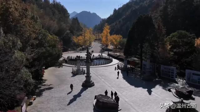 “含金量”爆棚!初冬限定,温州这处千年古刹的银杏大道美翻了!