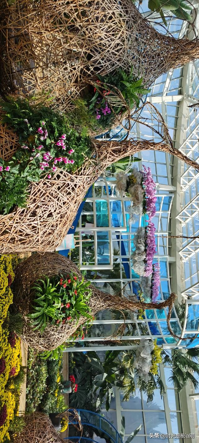 玻璃穹顶下的生活诗意！