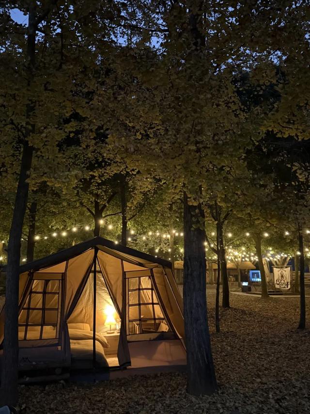 探秘新场景丨你来过吗？藏在新津的“美学”露营地