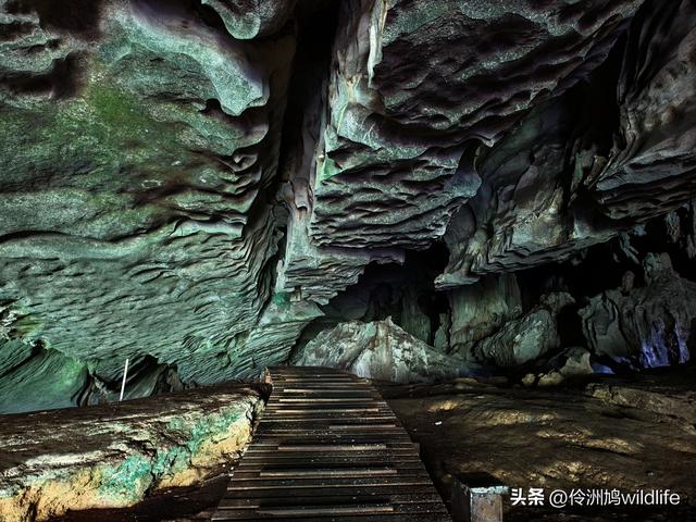 马来西亚(32)砂拉越州⑥世界遗产尼亚洞窟探险