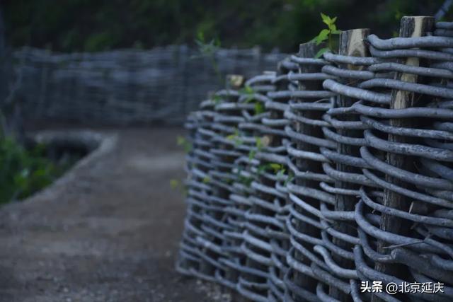 总长近150公里~延庆将建成两条森林步道——