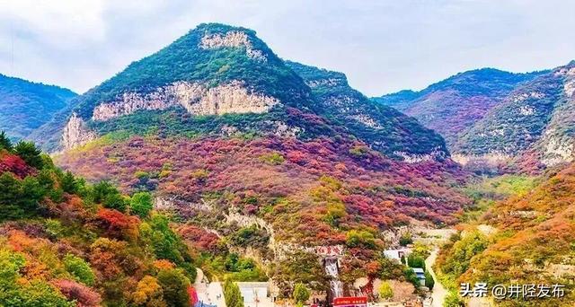 跨省盛宴！太行红叶牵手两地融媒