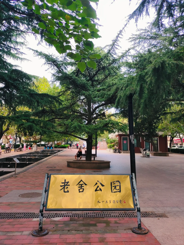 立秋之后，青岛人把养生藏在市南的四个公园里