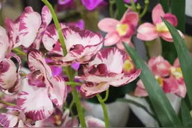 出口超1500万，“3D打印”花开海外图片