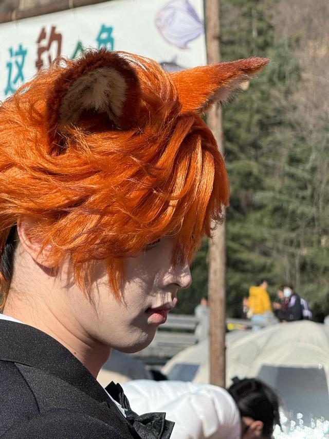 云台山冰挂亮肌