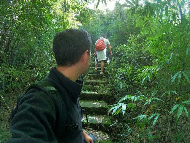 重庆北碚有座龙头山，山上有座400多年的明代老庙，叫“观音堂”