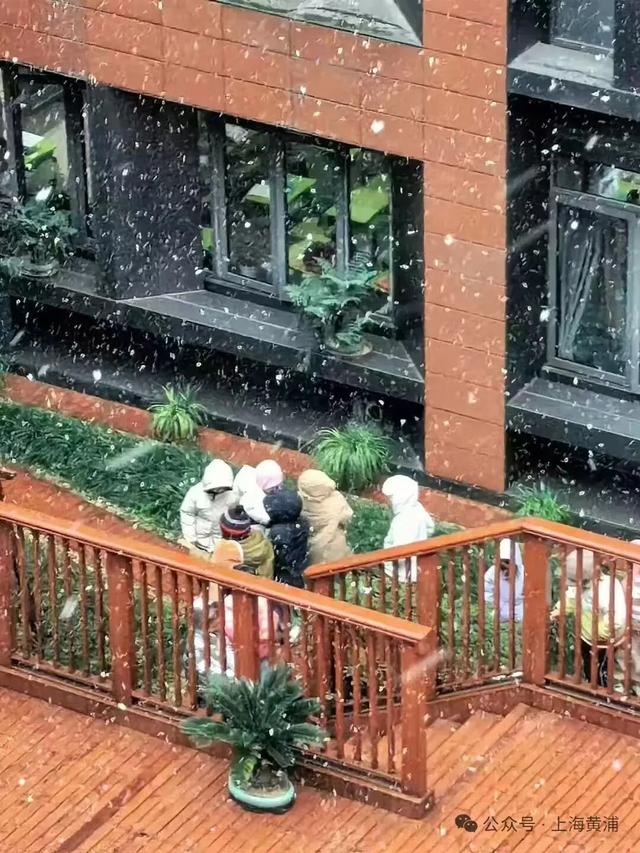 上海全城追雪！朋友圈和校园里彻底沸腾！零下6℃要来了，赏雪打卡还有机会