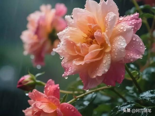 活着已经够累了,放过自己吧,12句人生过半,一定要好好善待自己