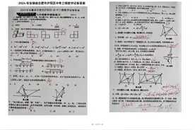 2024年中考专题系列*安徽合肥庐阳区45中三模数学试卷答案分享图片