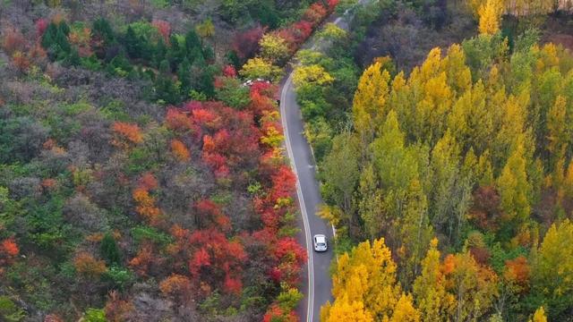 牛郎山，你怎么美成这样！！