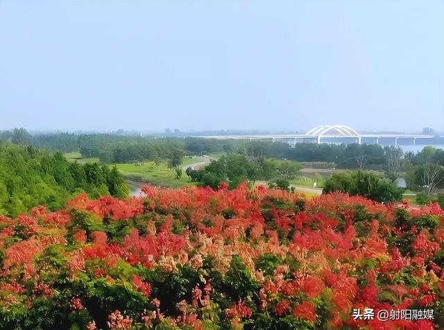 这个秋天，总要来一趟射阳吧
