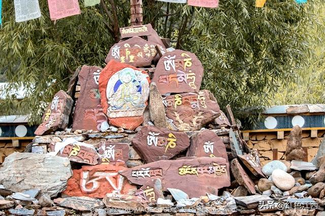 在稻城亚丁，我把灵魂落在了秋日草甸上