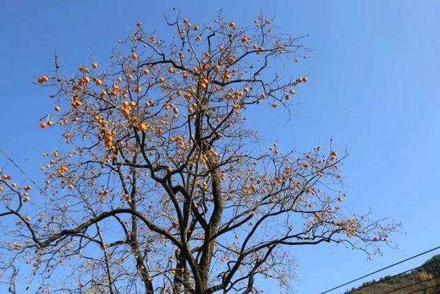 让我再看你一眼🧡