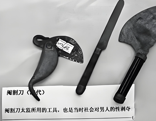 清朝时期，太监真的有净身不彻底的吗？一名宫女道出了其中真相！