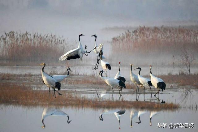 读诗词·游水韵江苏：让千年文脉在绿水青山间流淌