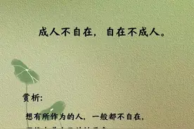 《红楼梦》金句10条，精辟通透，句句戳心！图片