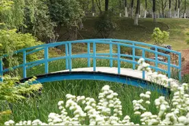 家门口逛花展！世界花园大会永久展区在汉建成，即将对外开放！图片