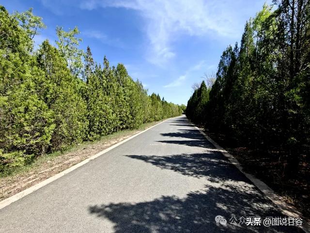 奔赴临洮古城 探访蜀汉大将军姜维墩