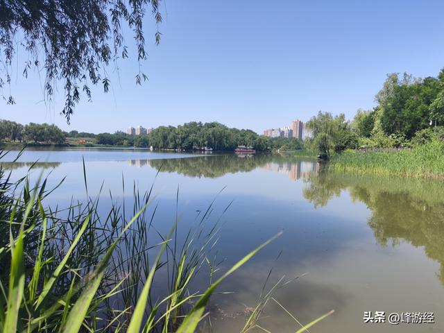 大明宫遗址公园，虽早已沦为废墟，仍可见当年的辉煌