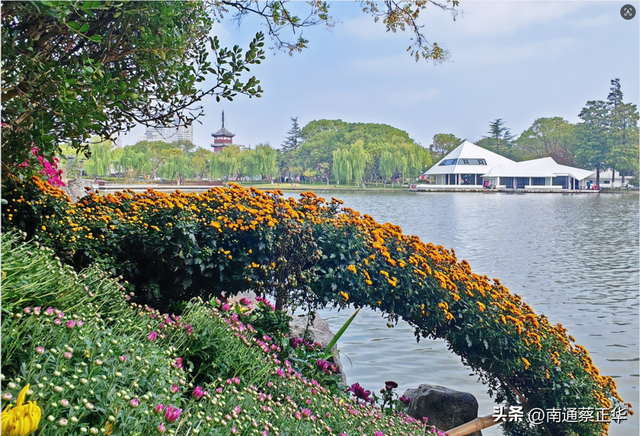 来了来了！南通秋天的仪式感