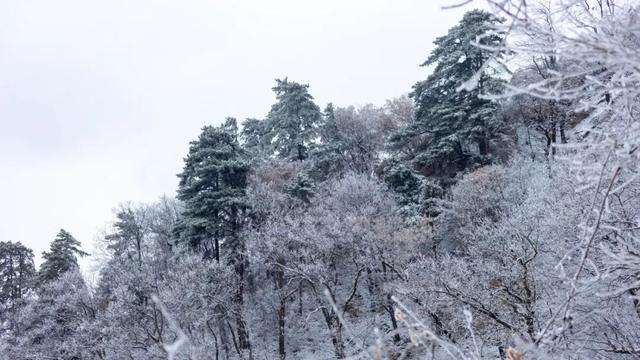 航小天带你看长安 | 雪落终南，千年诗意向云端！