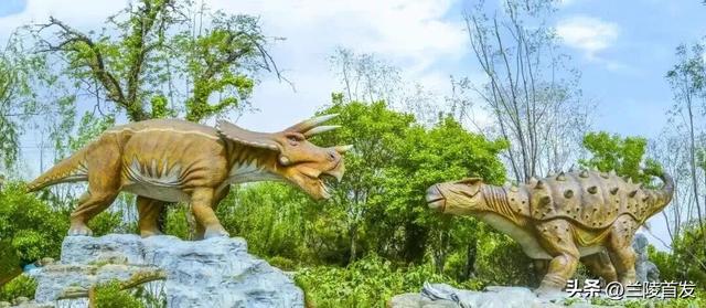 好客山东好品山东｜临沂遛娃去哪儿？初冬攻略收藏就出发～