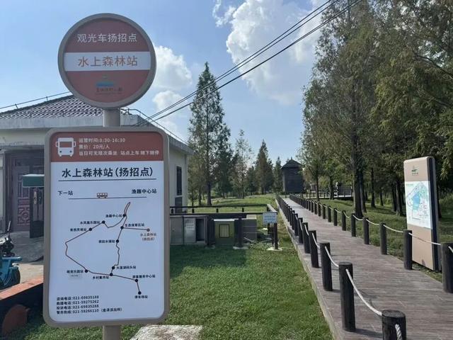 上海著名地标宣布：24小时内可免费停车！