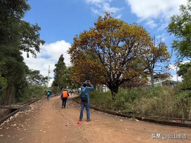 随走呈贡大学城，逛梁王湖、转小土林，感受多彩的秋冬世界，休闲