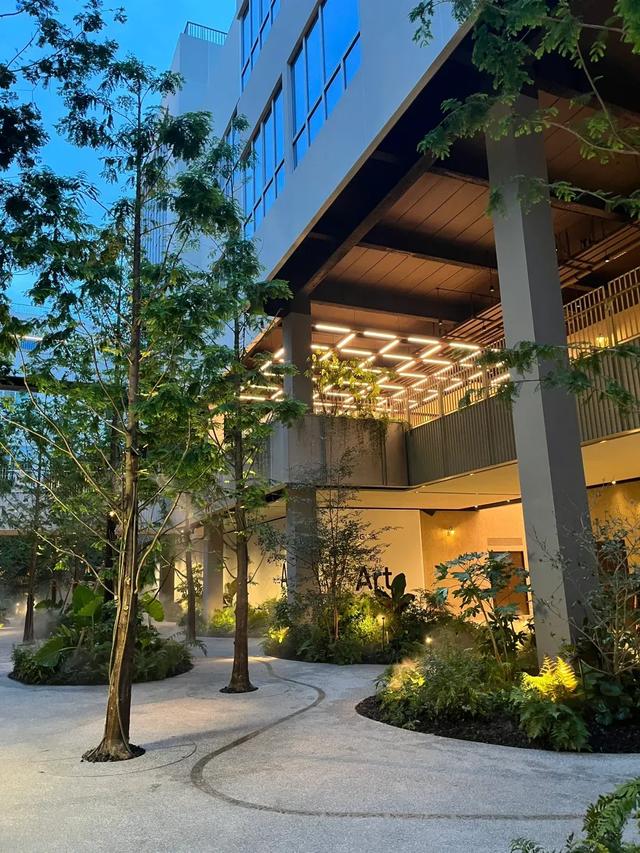 上海梧桐区 Citywalk：5条最精华的小马路！穿越历史与时尚的浪漫