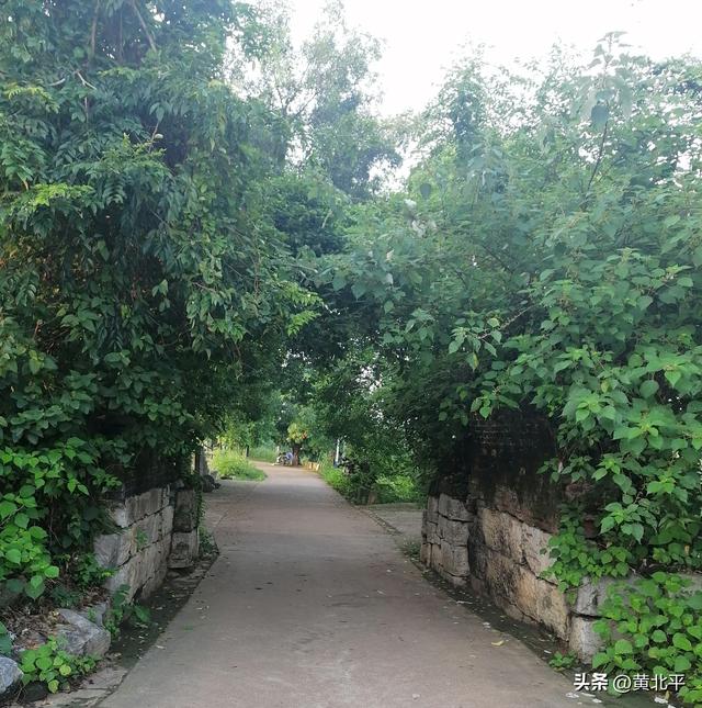 广西南宁市宾阳县消失的古城，除了文保碑还有拆掉一半的城门