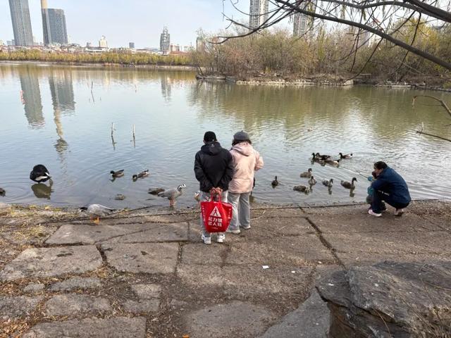 观鸟不必远行，“家门口”就能满足！