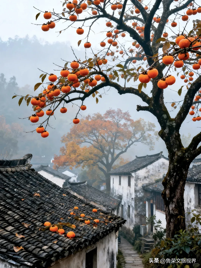 11月旅行：在山河秘境中，邂逅最本真的秋日浪漫