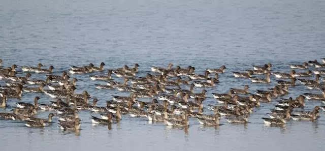 大美洛阳——新安县必去的三个小景点