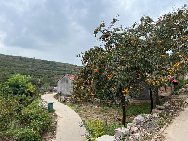 人在旅途（1）：我的家乡，山东安丘一个小山村。