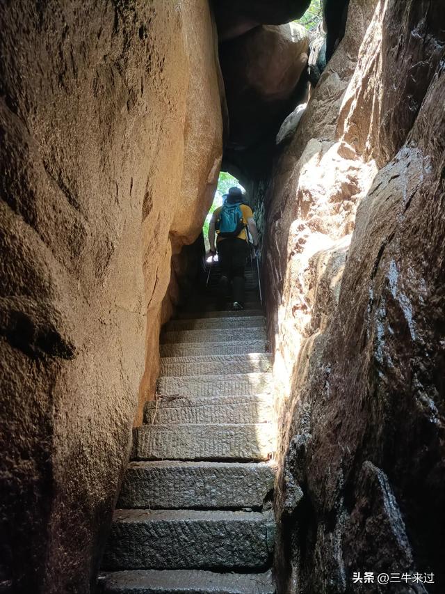 无为在歧路，避暑去鲁山