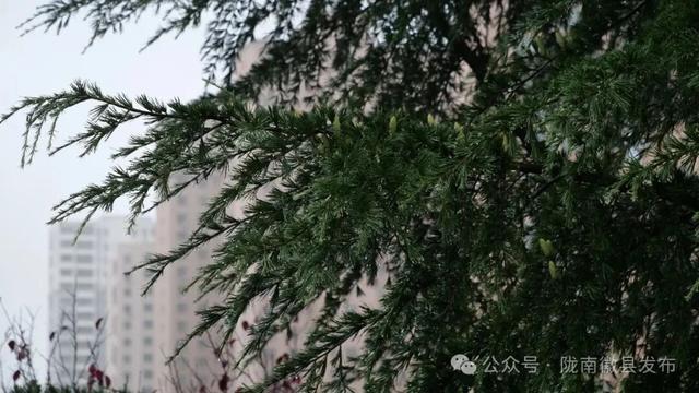 徽县:秋雨连绵 水墨映人间