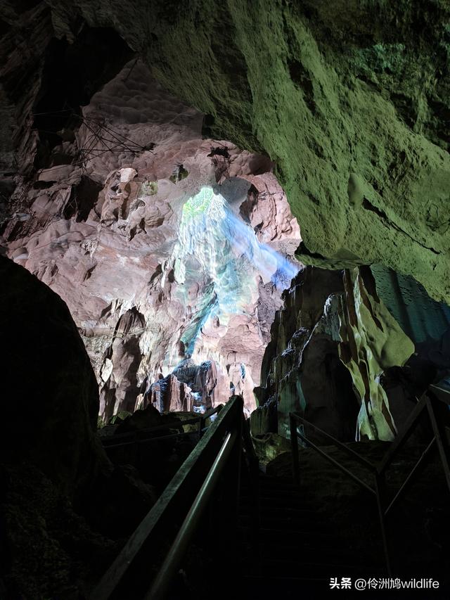 马来西亚(32)砂拉越州⑥世界遗产尼亚洞窟探险