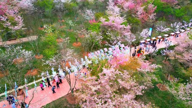 从“看一看”到“玩尽兴” 昭化区如何将农耕文化玩出新“花”样？