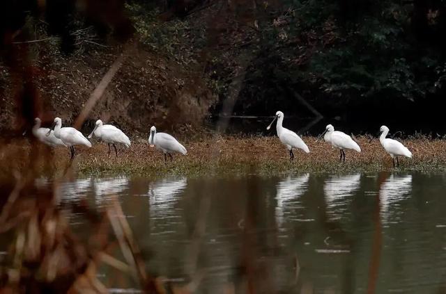 西安城区4个绝美秋景打卡地！
