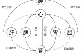 桂枝汤凭什么被称为“千古第一方”?一篇文章解开桂枝汤之妙图片